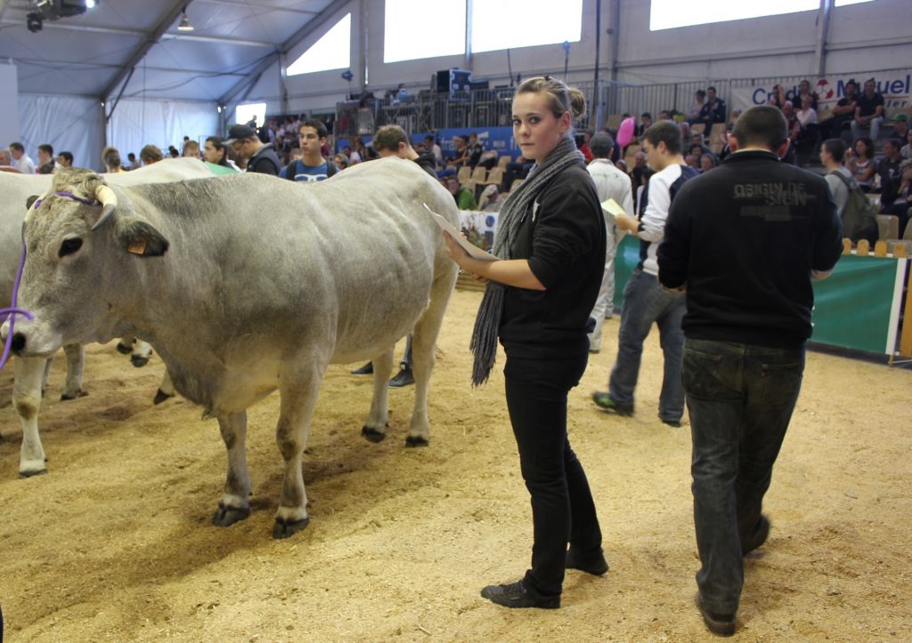 lycee-agro-environnemental-prive-saint-joseph